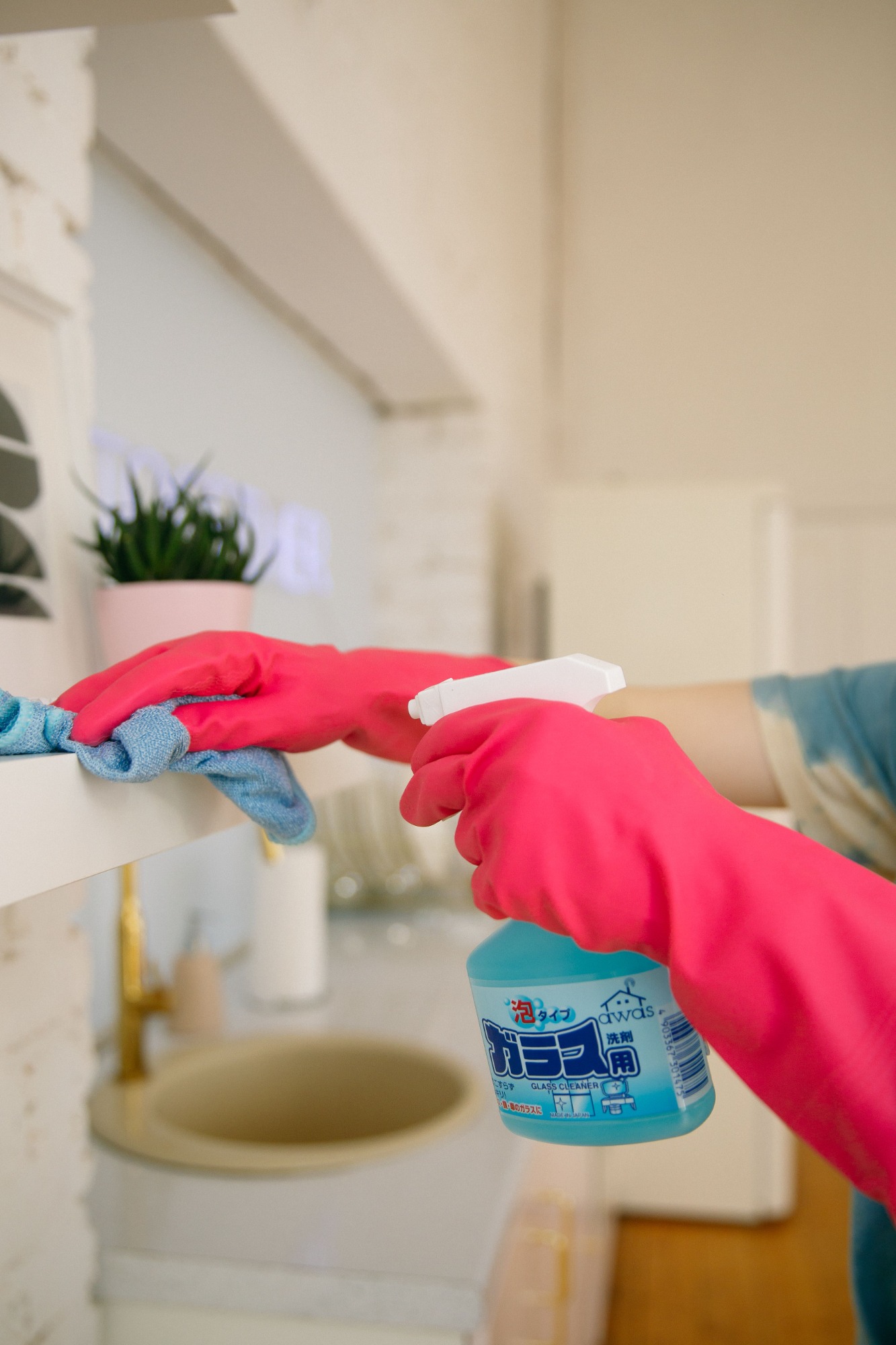 Standard Cleaning